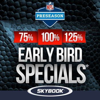 2014 NFL Season Promotions
